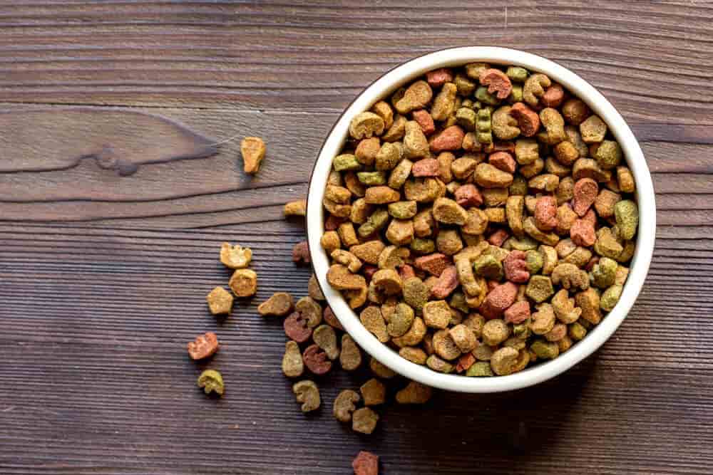 تصویر 3 از غذای گربه رژیمی کم کالری مخصوص گربه های خانگی